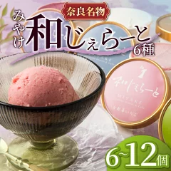 ジェラートセット 12個(和じぇらーと)