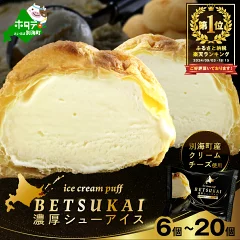 濃厚 シューアイス 6個 個包装 北海道別海町