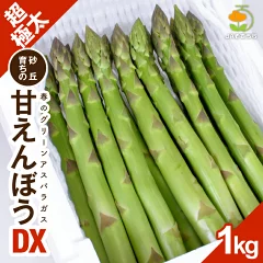 甘えんぼうDX 4Lサイズ 1kg
