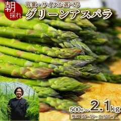 朝採れ 大容量アスパラ 500g~2.1kg
