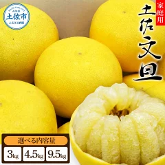 土佐文旦 サイズ混合 3.0kg