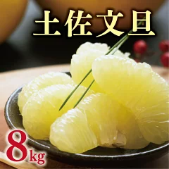 樹齢25年以上 土佐文旦 8kg