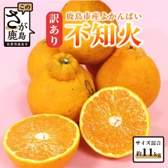 【訳あり】よかんばい 鹿島産 不知火 約11kg　佐賀県鹿島市