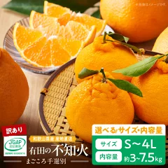 和歌山県産 有田の不知火 訳あり 家庭用 7.5kg　和歌山県湯浅町