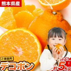 先行予約 デコポン 訳あり 個別光センサー選果 5kg　熊本県長洲町