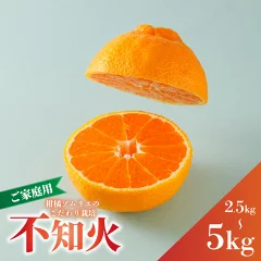 不知火（デコポンと同一品種） B品 5kg　愛媛県松山市