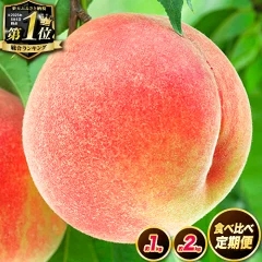 紀の里の桃 1kg（和歌山県紀の川市）
