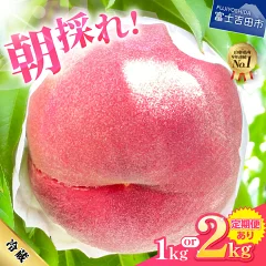 富士吉田市の桃 1kg（山梨県富士吉田市）