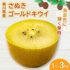 さぬきゴールドキウイ 約1kg