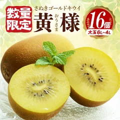 さぬきゴールドキウイ「黄様」16個入り