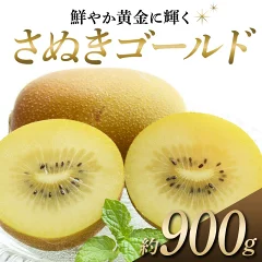 さぬきゴールド 鮮やか黄金に輝く ゴールドキウイ 約900g
