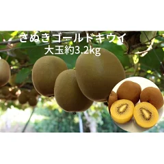 さぬきゴールドキウイ 大玉約3.2kg