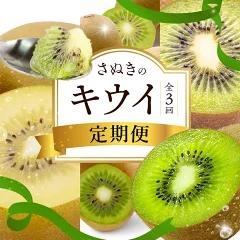 讃岐のキウイ定期便(全3回)