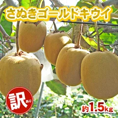 訳あり さぬきゴールド 1.5kg