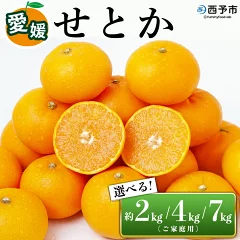 先行予約＜愛媛県西予市産 せとか ご家庭用 約2kg／4kg／7kg＞ 訳あり