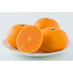 松山市中島産 せとか 無地