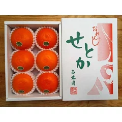 ハーフ 化粧箱 柑橘の大トロ ハウス せとか 厳選 6玉入
