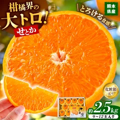みかん ミカン せとか 約2.5kg 秀品 贈答用 化粧箱