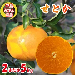 せとか 小玉 2kg / 5kg 家庭用 訳あり