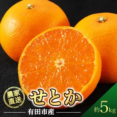 せとか 5kg みかん 産地直送