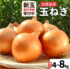 淡路島産 フルーツ玉ねぎ