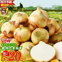 射手矢さんちの 泉州たまねぎ