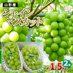 山形産 シャインマスカット 約1.5kg(2房)