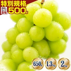 岡山県笠岡市産 シャインマスカット 約650g