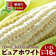 白いとうもろこし ピュアホワイト
40%　北海道千歳市