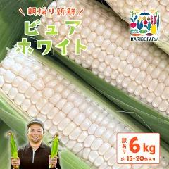 【訳あり】下妻産朝採りピュアホワイト 約6kg　茨城県下妻市