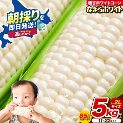 白いとうもろこし なよろホワイト 5kg 北海道名寄市