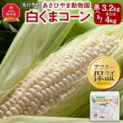あさひやま動物園しろくまコーン 10本　北海道旭川市