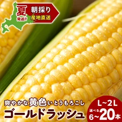 とうもろこし ゴールドラッシュ L〜2L　北海道千歳市