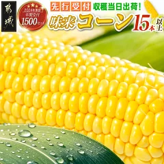 都城産スイートコーン(味来コーン) 5kg以上　宮崎県都城市