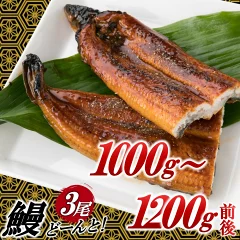 うなぎの蒲焼3尾(計1,000g〜1,200g前後) 福岡県新宮町