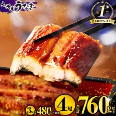 九州産 うなぎ蒲焼 3尾 or 4尾 宮崎県宮崎市