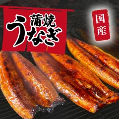国産 うなぎ 蒲焼 山椒付き 特上2尾以上 茨城県八千代町