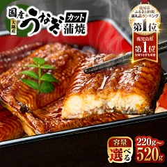 スピード配送 カット うなぎ 蒲焼 鹿児島県鹿屋市