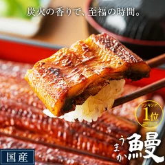 うなぎ 特上 国産 1尾 訳あり簡易包装 熊本県御船町