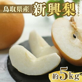 新興梨 5kg前後(5〜18玉) 鳥取県北栄町