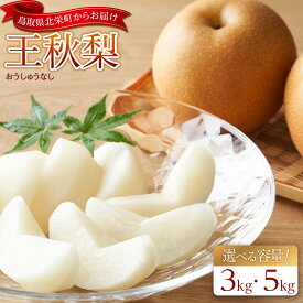 王秋梨 3kg 鳥取県産 鳥取県北栄町
