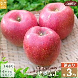 【訳あり】 サンふじ 選べる内容量 約3kg 6～12玉 ［おぶせファーマーズ］
長野県小布施町