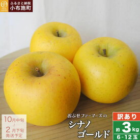 【訳あり】 先行受付 シナノゴールド 約3kg 6～12玉 ［おぶせファーマーズ］
長野県小布施町