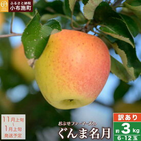 【訳あり】先行受付 ぐんま名月 約3kg 6~12玉 ［ おぶせファーマーズ ］
長野県小布施町