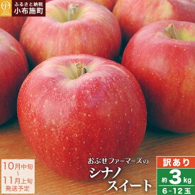 【訳あり】 シナノスイート 約3kg 6～12玉 ［おぶせファーマーズ］
長野県小布施町