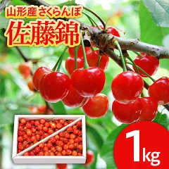 さくらんぼ 佐藤錦 1kg Lサイズ以上 バラ詰 FS25-513