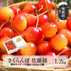 さくらんぼ 佐藤錦 秀Mサイズ バラ詰め 1.2kg(600g×2箱)