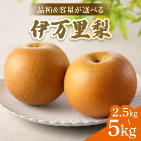 伊万里梨 <品種・容量が選べる> 佐賀県伊万里市