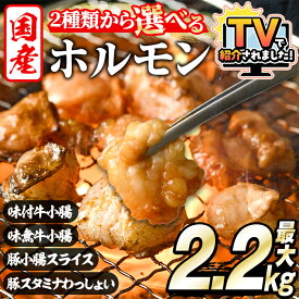 鹿児島県阿久根市
<選べる2種>ホルモン(牛×豚2.2kg/牛2kg)
