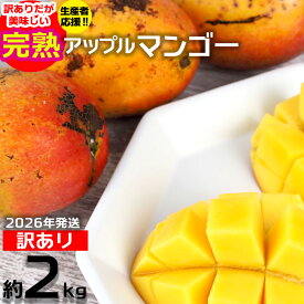 訳ありだが美味しい完熟アップルマンゴー約2kg
沖縄県大宜味村